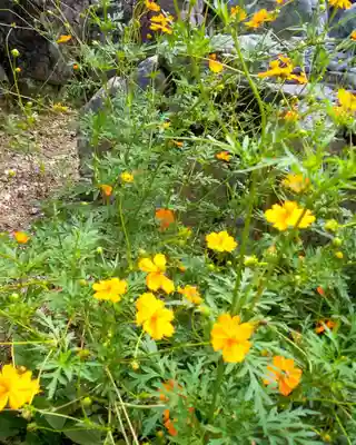笠原寺(京都府)
