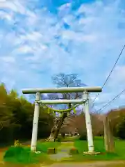 金村別雷神社(茨城県)