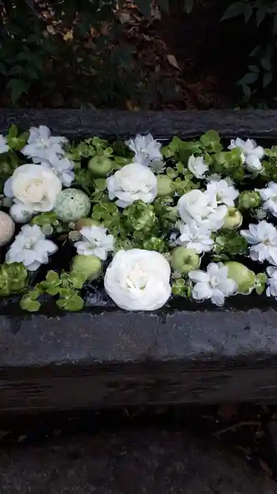 行田八幡神社の手水舎