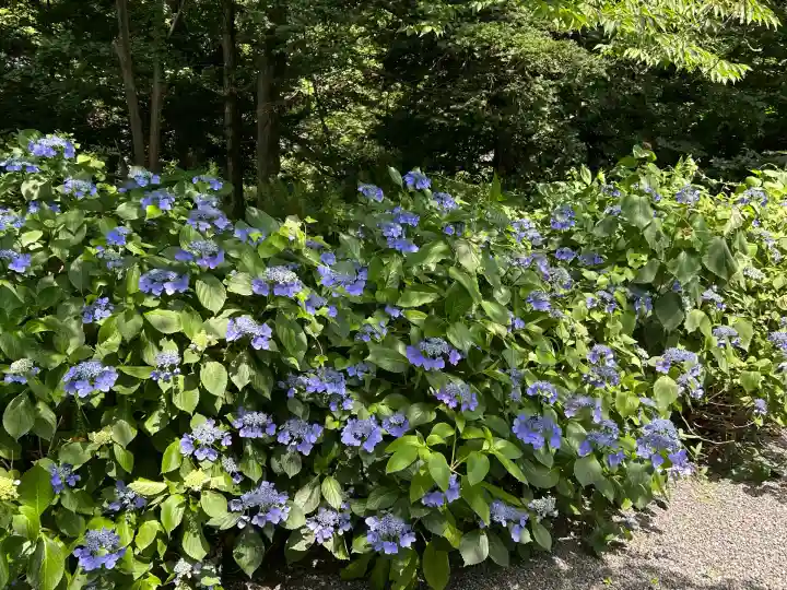 長野縣護國神社(長野県)