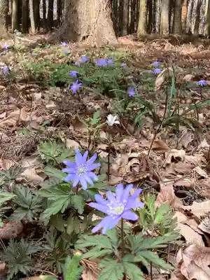 十二山神社(群馬県)
