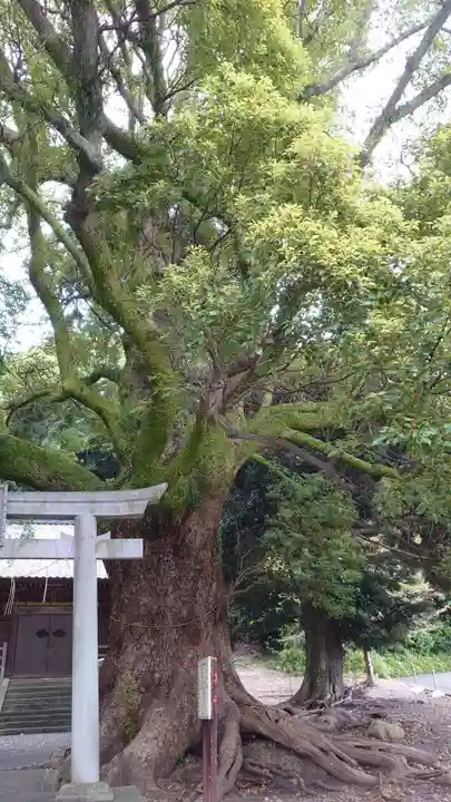 八坂神社(静岡県)