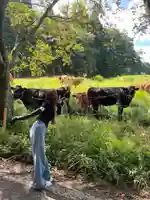 乙姫子安河原観音(熊本県)