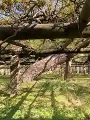 住吉神社(兵庫県)