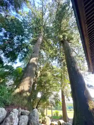 湯葉神社(岐阜県)