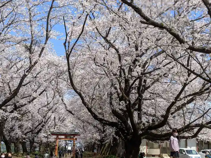 東蕗田天満社の自然
