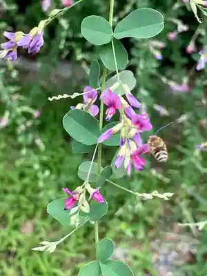 梨木神社(京都府)