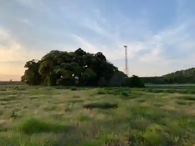稲荷神社(千葉県)