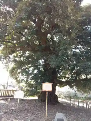 一之宮貫前神社(群馬県)