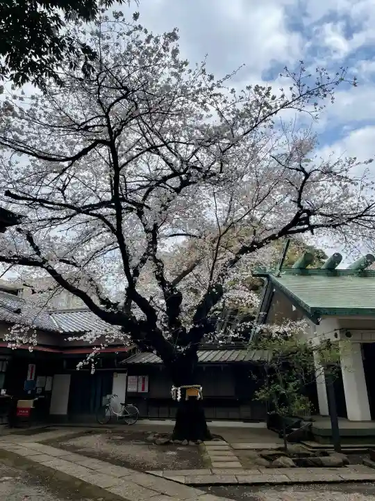 駒込天祖神社の{uncategorized: "未分類", other: "その他", undefined: "問題あり", building: "その他建物", grave: "お墓", sacred_gate: "鳥居", guardian: "狛犬", statue: "像", buddha: "仏像", history: "歴史", nature: "自然", garden: "庭園", animal: "動物", pagoda: "塔", temizu: "手水舎", mountain_gate: "山門・神門", sanctuary: "本殿・本堂", subordinate: "末社・摂社", art: "芸術", scenery: "景色", jizo: "地蔵", ema: "絵馬", goshuin: "御朱印", omikuji: "おみくじ", items: "授与品その他", amulet: "お守り", goshuincho: "御朱印帳", eats: "食事", festival: "お祭り", votive_dance: "神楽", shichigosan: "七五三参", wedding: "結婚式", experience: "体験その他", initially: "初詣", around: "周辺", anti_infection: "感染症対策"}