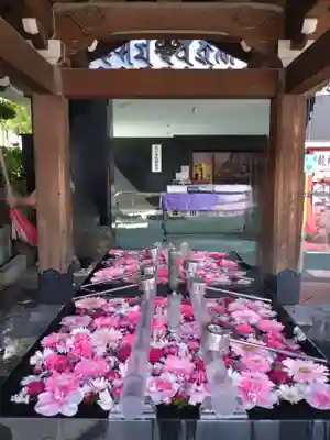 成田山深川不動堂（新勝寺東京別院）(東京都)