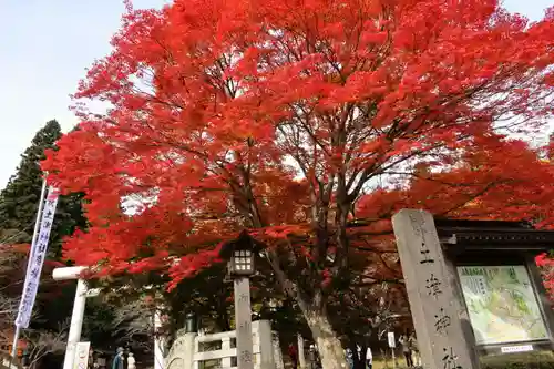 土津神社｜こどもと出世の神さまの景色