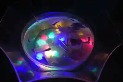 楽法寺(雨引観音)のお祭り