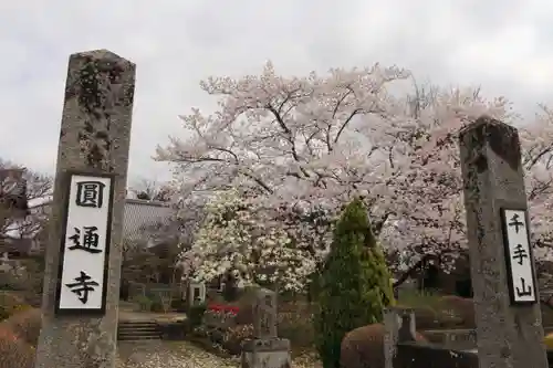 円通寺の山門