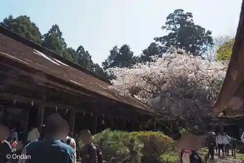 吉野水分神社の本殿