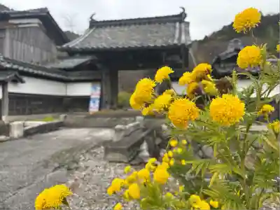 観音寺(滋賀県)