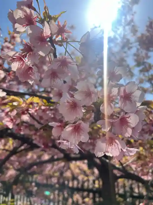八大龍王辨財天の{uncategorized: "未分類", other: "その他", undefined: "問題あり", building: "その他建物", grave: "お墓", sacred_gate: "鳥居", guardian: "狛犬", statue: "像", buddha: "仏像", history: "歴史", nature: "自然", garden: "庭園", animal: "動物", pagoda: "塔", temizu: "手水舎", mountain_gate: "山門・神門", sanctuary: "本殿・本堂", subordinate: "末社・摂社", art: "芸術", scenery: "景色", jizo: "地蔵", ema: "絵馬", goshuin: "御朱印", omikuji: "おみくじ", items: "授与品その他", amulet: "お守り", goshuincho: "御朱印帳", eats: "食事", festival: "お祭り", votive_dance: "神楽", shichigosan: "七五三参", wedding: "結婚式", experience: "体験その他", initially: "初詣", around: "周辺", anti_infection: "感染症対策"}