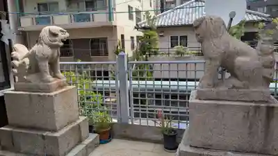 長崎大神宮の狛犬