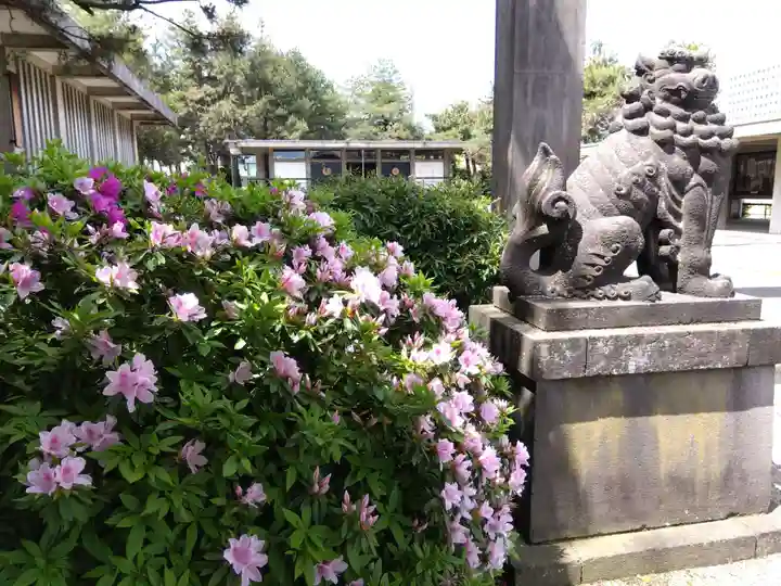 福井神社(福井県)