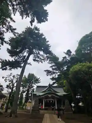 天沼八幡神社の{uncategorized: "未分類", other: "その他", undefined: "問題あり", building: "その他建物", grave: "お墓", sacred_gate: "鳥居", guardian: "狛犬", statue: "像", buddha: "仏像", history: "歴史", nature: "自然", garden: "庭園", animal: "動物", pagoda: "塔", temizu: "手水舎", mountain_gate: "山門・神門", sanctuary: "本殿・本堂", subordinate: "末社・摂社", art: "芸術", scenery: "景色", jizo: "地蔵", ema: "絵馬", goshuin: "御朱印", omikuji: "おみくじ", items: "授与品その他", amulet: "お守り", goshuincho: "御朱印帳", eats: "食事", festival: "お祭り", votive_dance: "神楽", shichigosan: "七五三参", wedding: "結婚式", experience: "体験その他", initially: "初詣", around: "周辺", anti_infection: "感染症対策"}