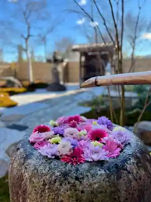 大聖護国寺の手水舎