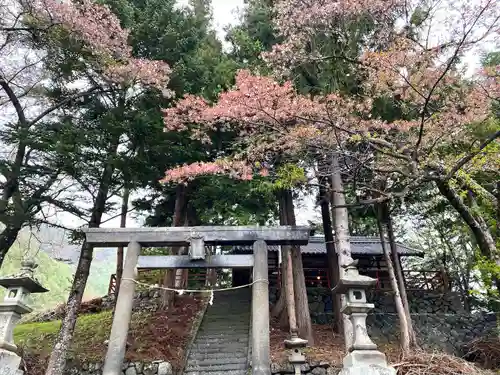 伊勢神社の鳥居