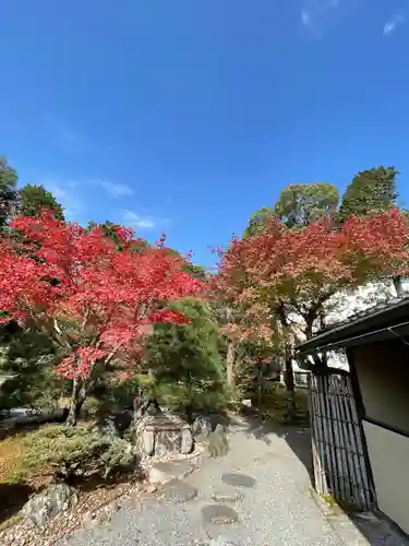 くろ谷 金戒光明寺の庭園