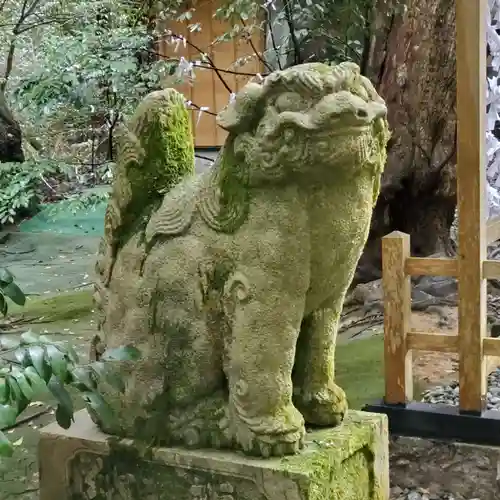 須須神社の狛犬