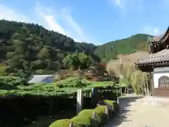 善峯寺の建物その他