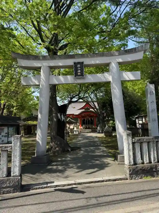 戸部杉山神社の{uncategorized: "未分類", other: "その他", undefined: "問題あり", building: "その他建物", grave: "お墓", sacred_gate: "鳥居", guardian: "狛犬", statue: "像", buddha: "仏像", history: "歴史", nature: "自然", garden: "庭園", animal: "動物", pagoda: "塔", temizu: "手水舎", mountain_gate: "山門・神門", sanctuary: "本殿・本堂", subordinate: "末社・摂社", art: "芸術", scenery: "景色", jizo: "地蔵", ema: "絵馬", goshuin: "御朱印", omikuji: "おみくじ", items: "授与品その他", amulet: "お守り", goshuincho: "御朱印帳", eats: "食事", festival: "お祭り", votive_dance: "神楽", shichigosan: "七五三参", wedding: "結婚式", experience: "体験その他", initially: "初詣", around: "周辺", anti_infection: "感染症対策"}