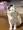 ゆう
