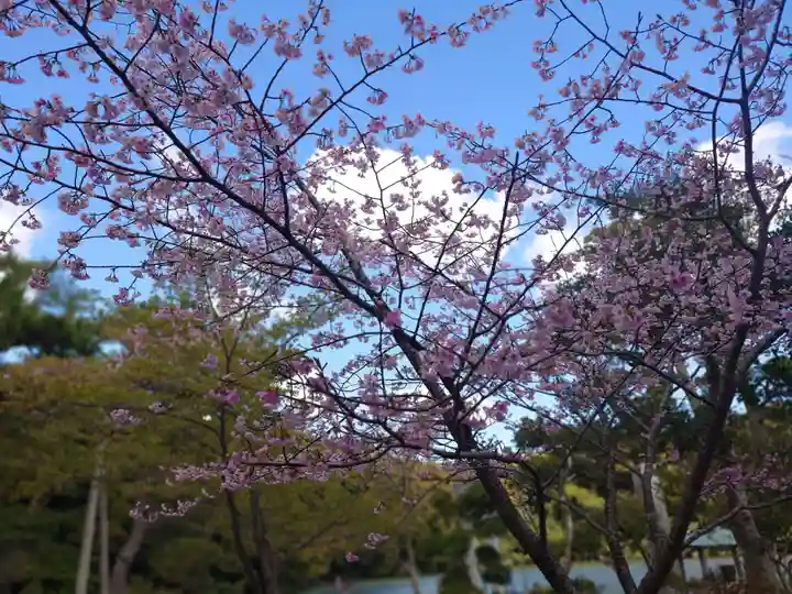 桜ヶ池池宮神社(静岡県)