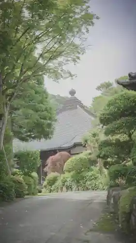 宝鏡寺の本殿・本堂