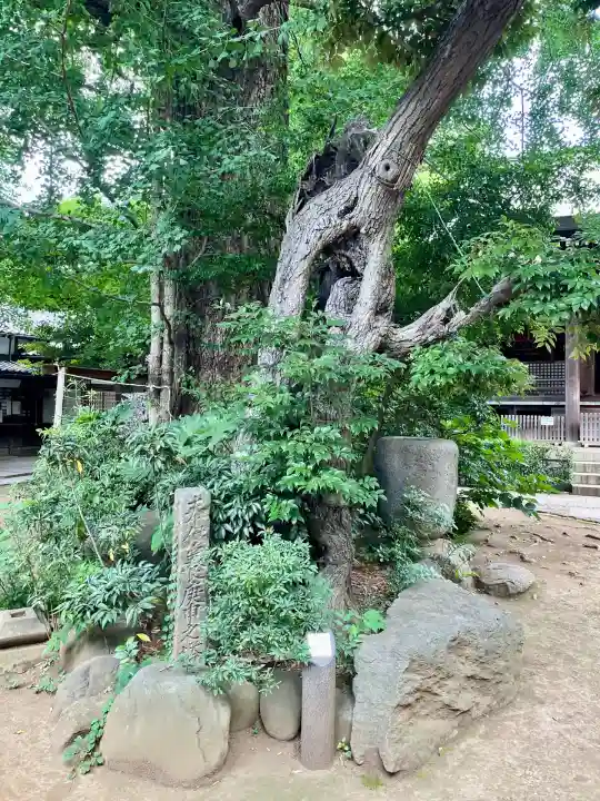 奥澤神社(東京都)