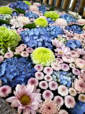 高円寺氷川神社(東京都)