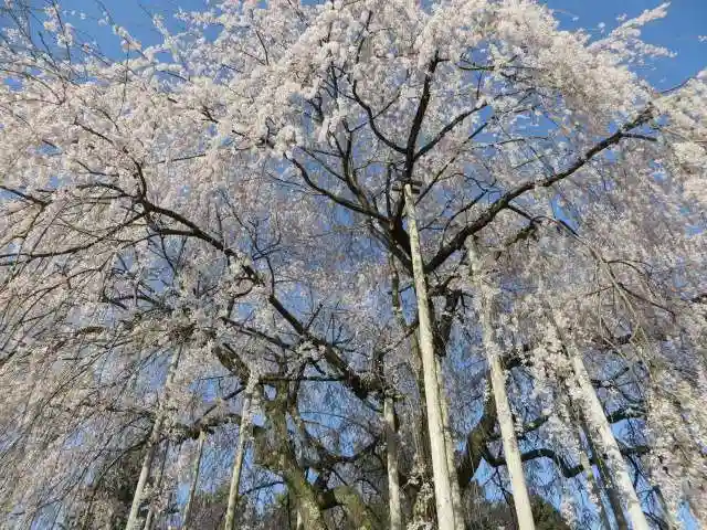 足羽神社(福井県)