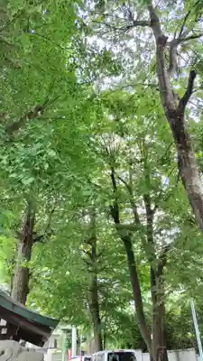 穏田神社(東京都)