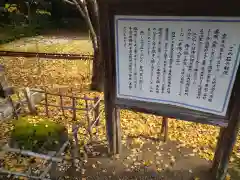 鎌数伊勢大神宮の歴史