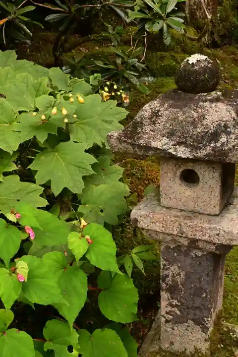 青源寺(高知県)