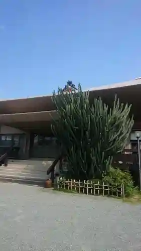 蓮光寺のその他建物