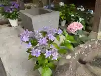 吾妻神社(群馬県)