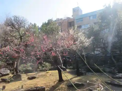 湯島天満宮(東京都)