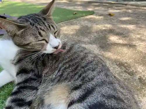 王子神社(徳島県)