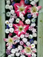 立志神社の手水舎