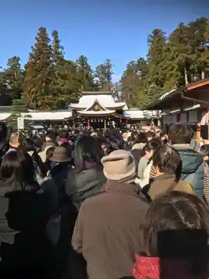 多賀大社の初詣