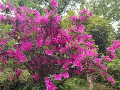 刺田比古神社(和歌山県)