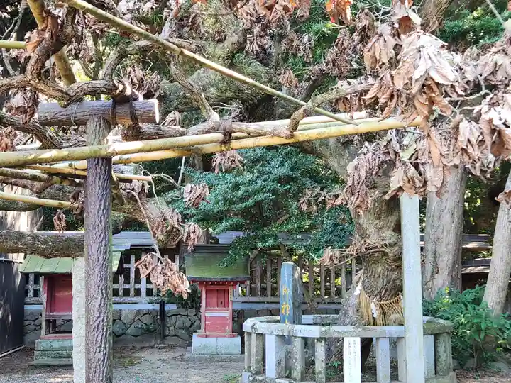 宗像大社の末社・摂社