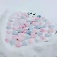 彌彦神社 (伊夜日子神社)(北海道)