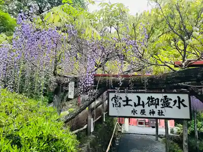 富士山本宮浅間大社(静岡県)