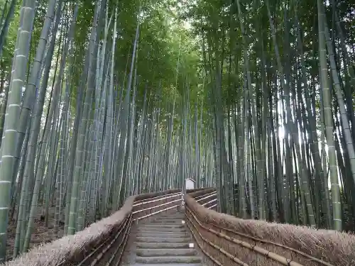 化野念仏寺の景色